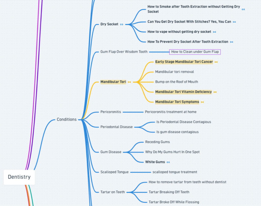 a view from a sample dental topical authority map